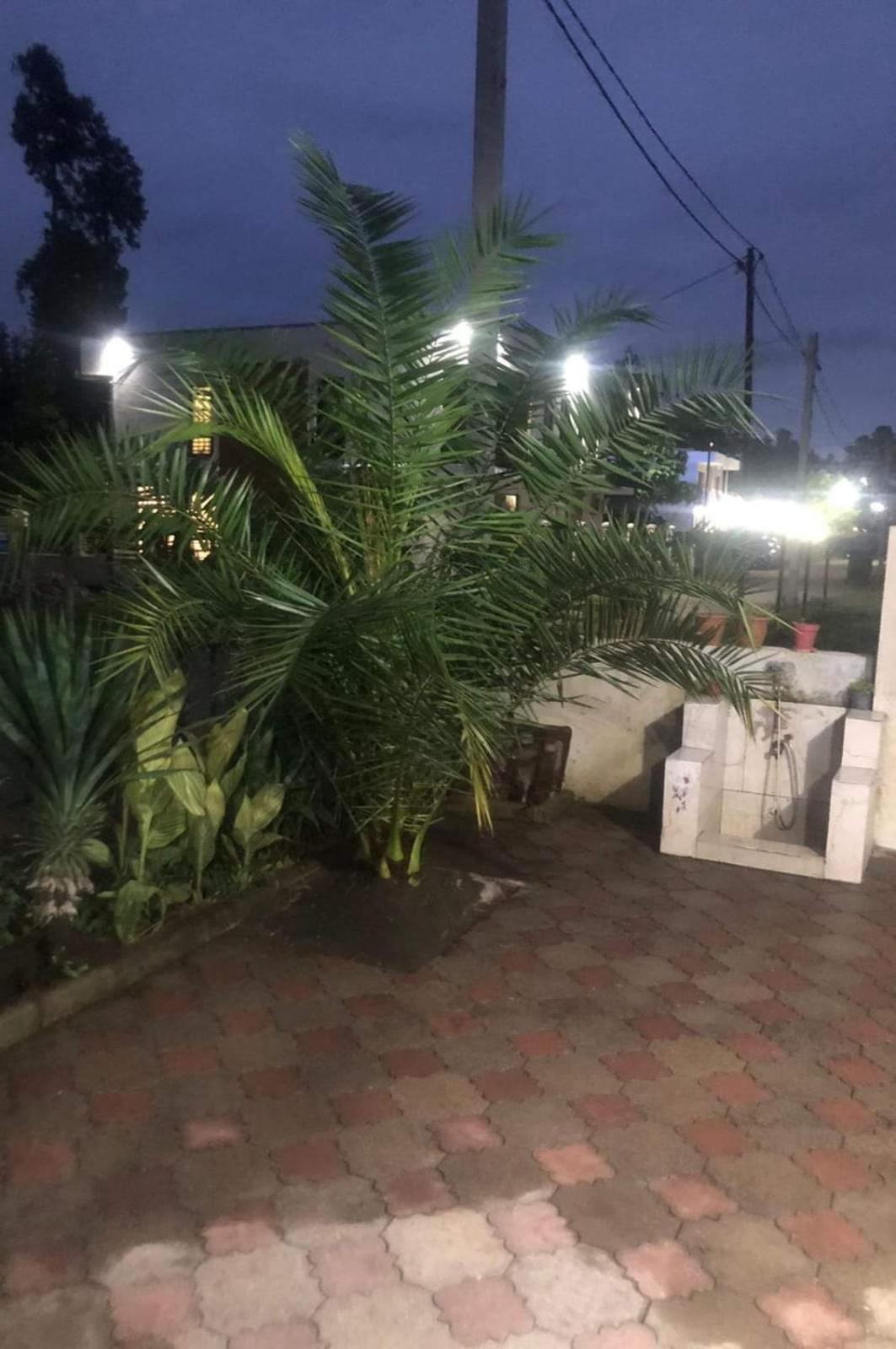 Hotel Lotus يوريكي المظهر الخارجي الصورة